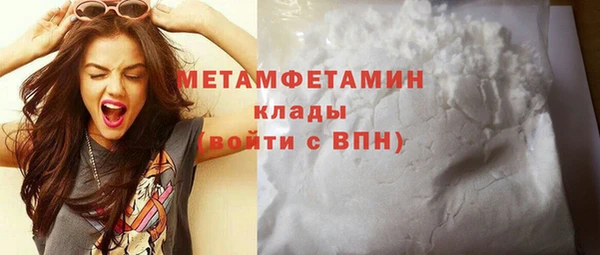 прущие грибы Волосово