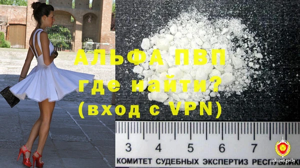 прущие грибы Волосово