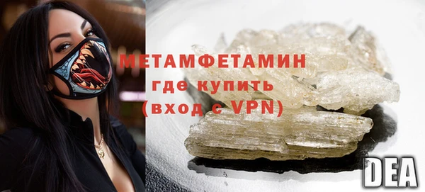 прущие грибы Волосово
