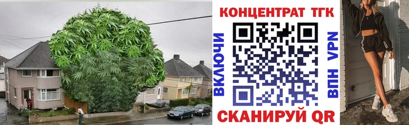 ТГК концентрат  Камбарка 