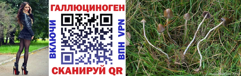 MEGA сайт  Камбарка  Галлюциногенные грибы Magic Shrooms  магазин   